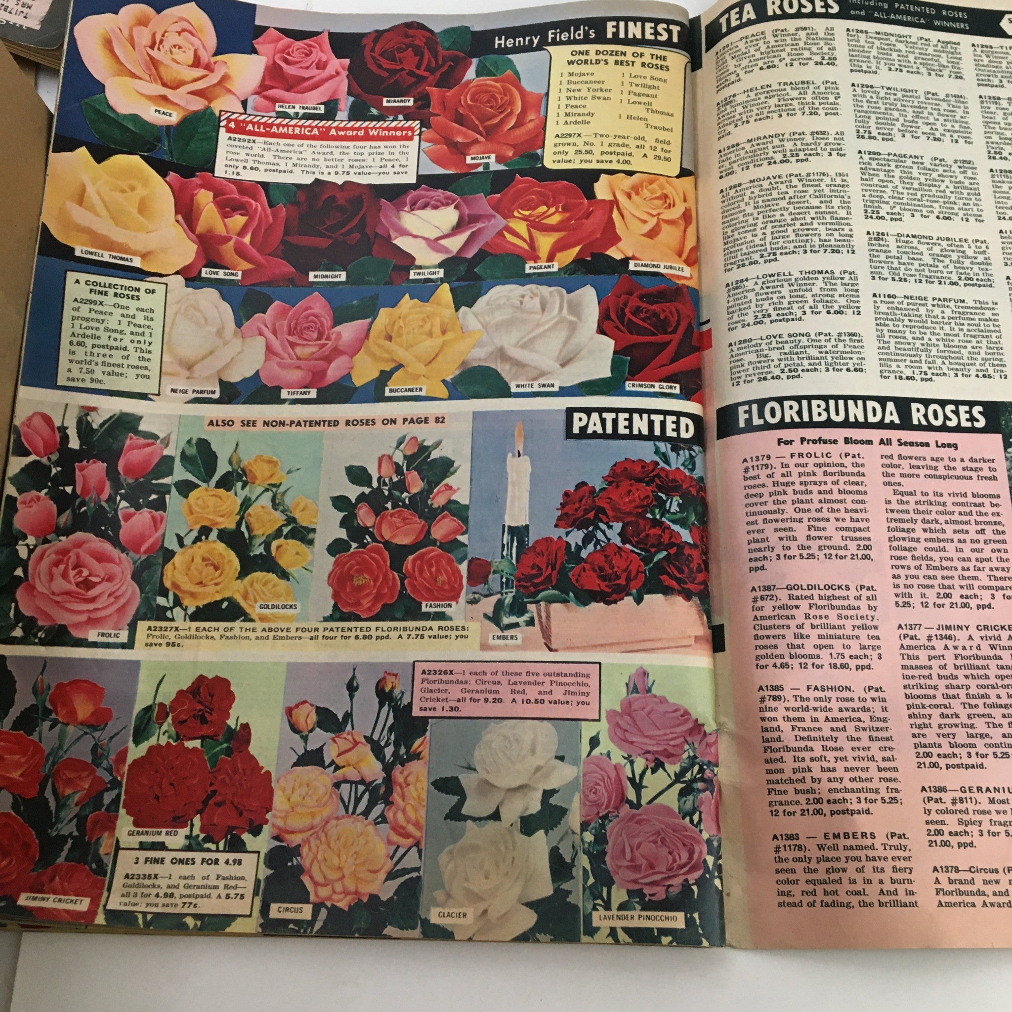 Henry Field's Tomato Seeds and Plants Catalog for Spring of 1958 displaying a variety of roses including Tea Roses and Floribunda Roses with detailed descriptions.