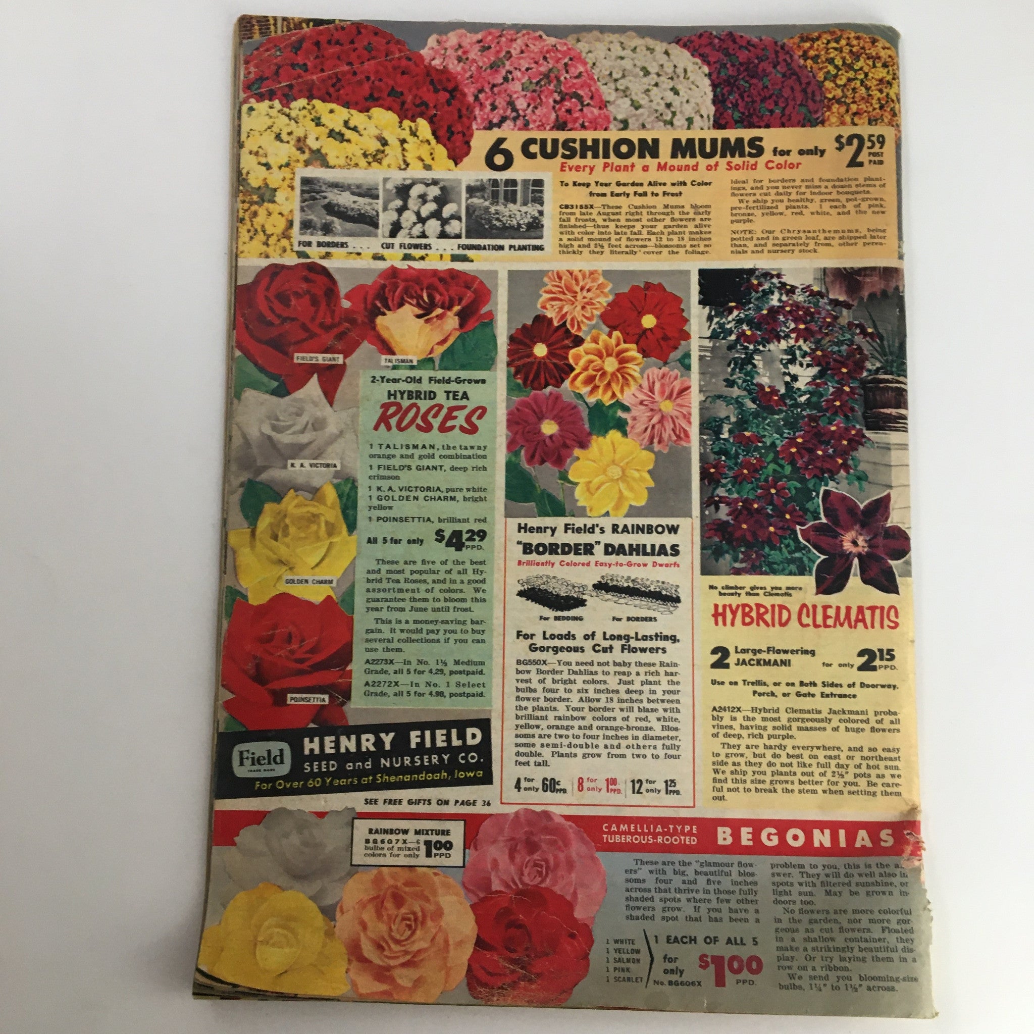 Henry Field's Tomato Seeds and Plants Catalog for Spring of 1958 featuring hybrid plants and colorful flower arrangements on the back cover.