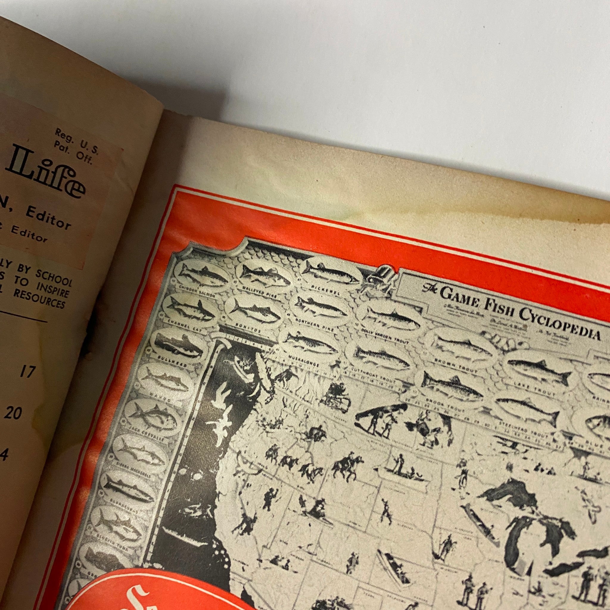 Inside page of 'Outdoor Life Magazine March 1948' displaying a game fish cyclopedia map highlighting various fish species across the United States.