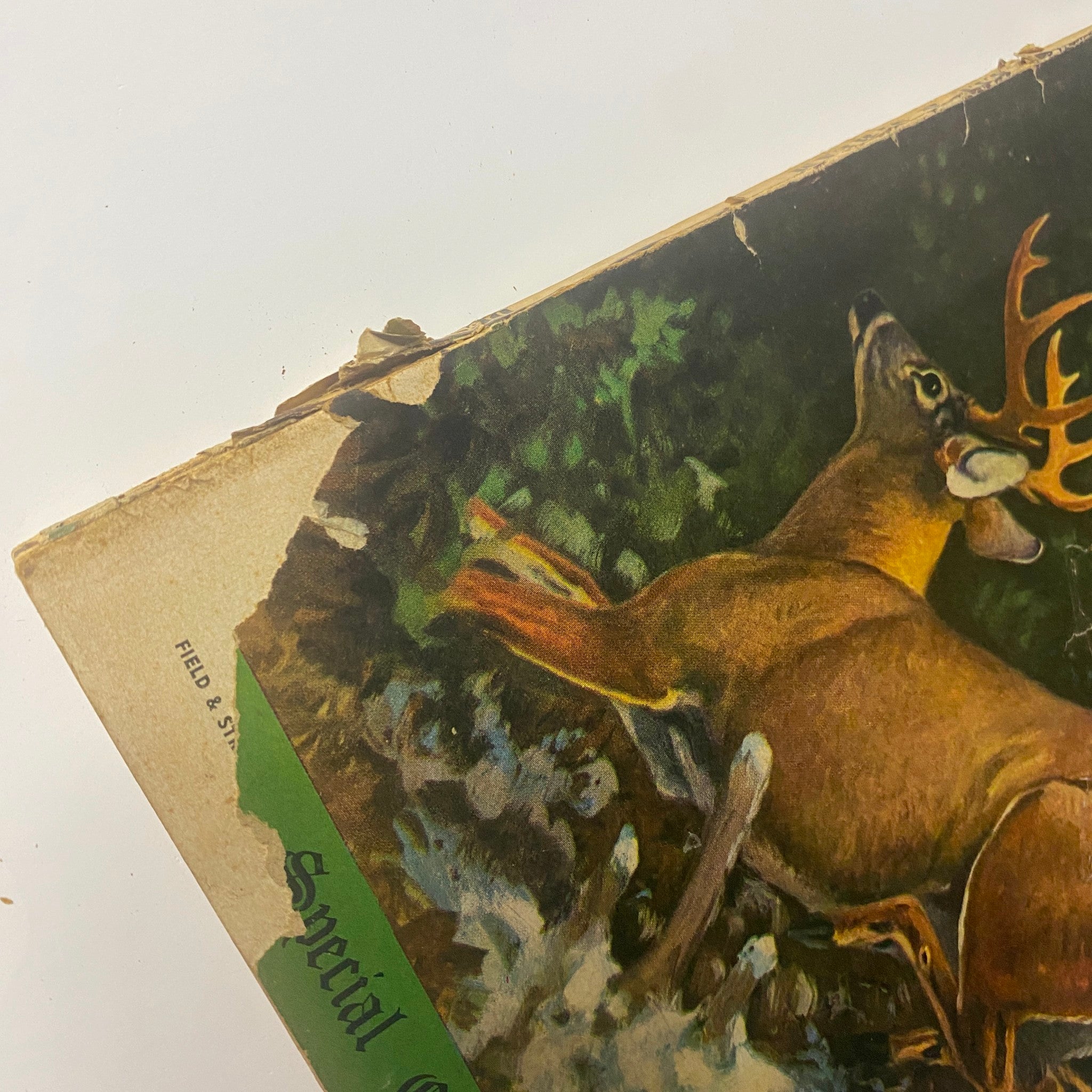 Field & Stream Magazine December 1947 Special Christmas Issue illustrated cover detail focusing on the deer, revealing historical art and design elements from mid-20th century outdoor magazines.