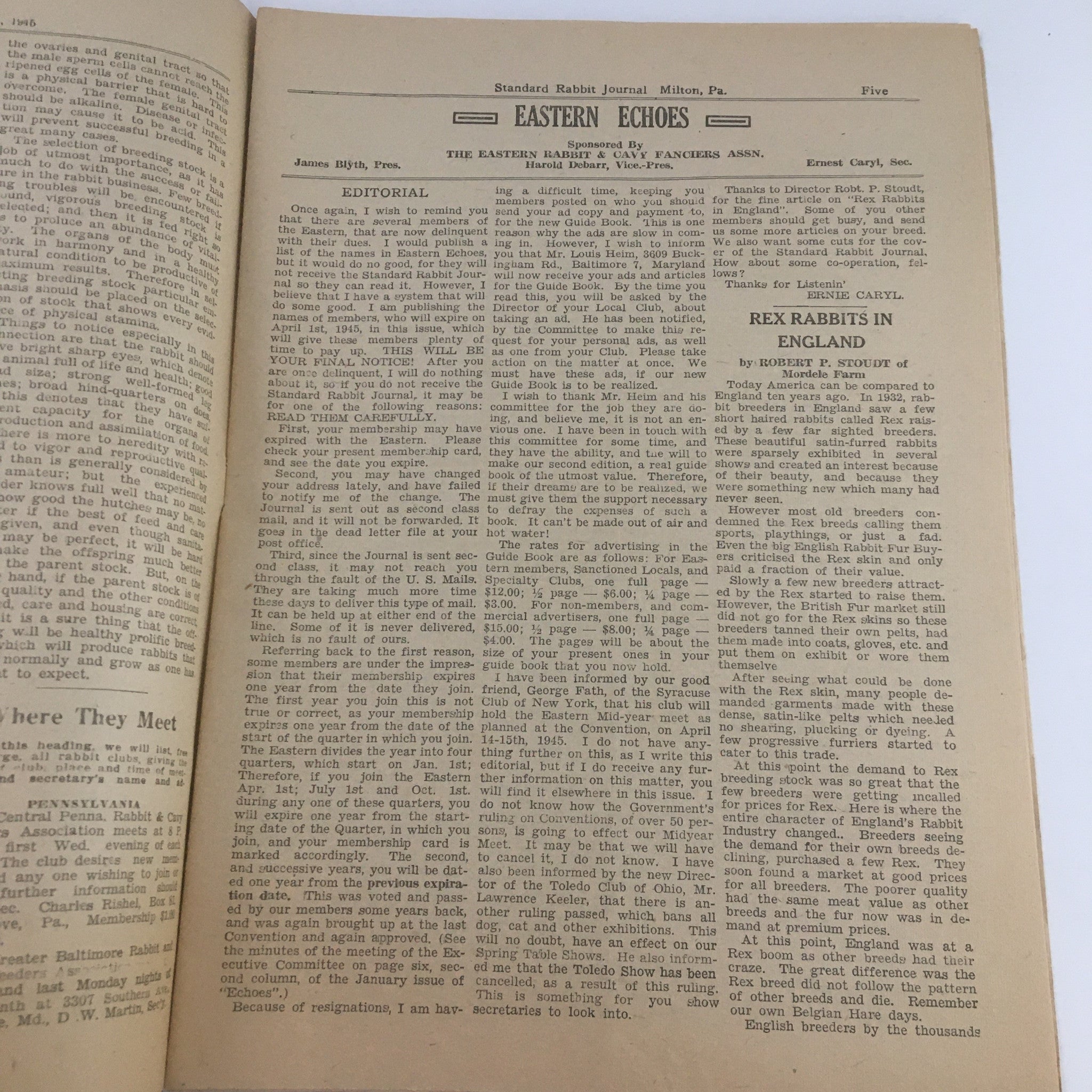 Interior page of the Standard Rabbit Journal April 1945 featuring an editorial piece titled 'Eastern Echoes' discussing rabbit breeding and care.