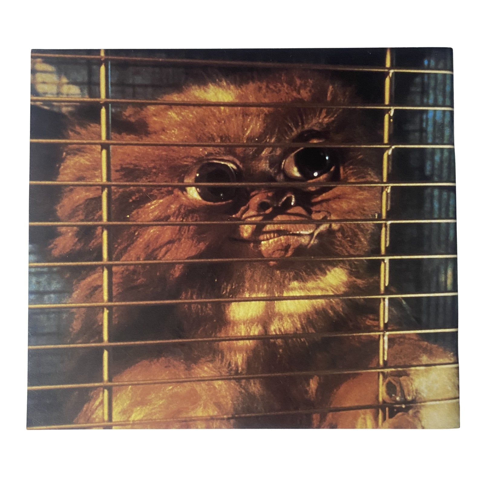 Cinefex Magazine November 1984 No. 19 cover featuring Gizmo from Gremlins, showcasing the adorable mogwai in a cage, emphasizing the artistry behind practical effects in film.