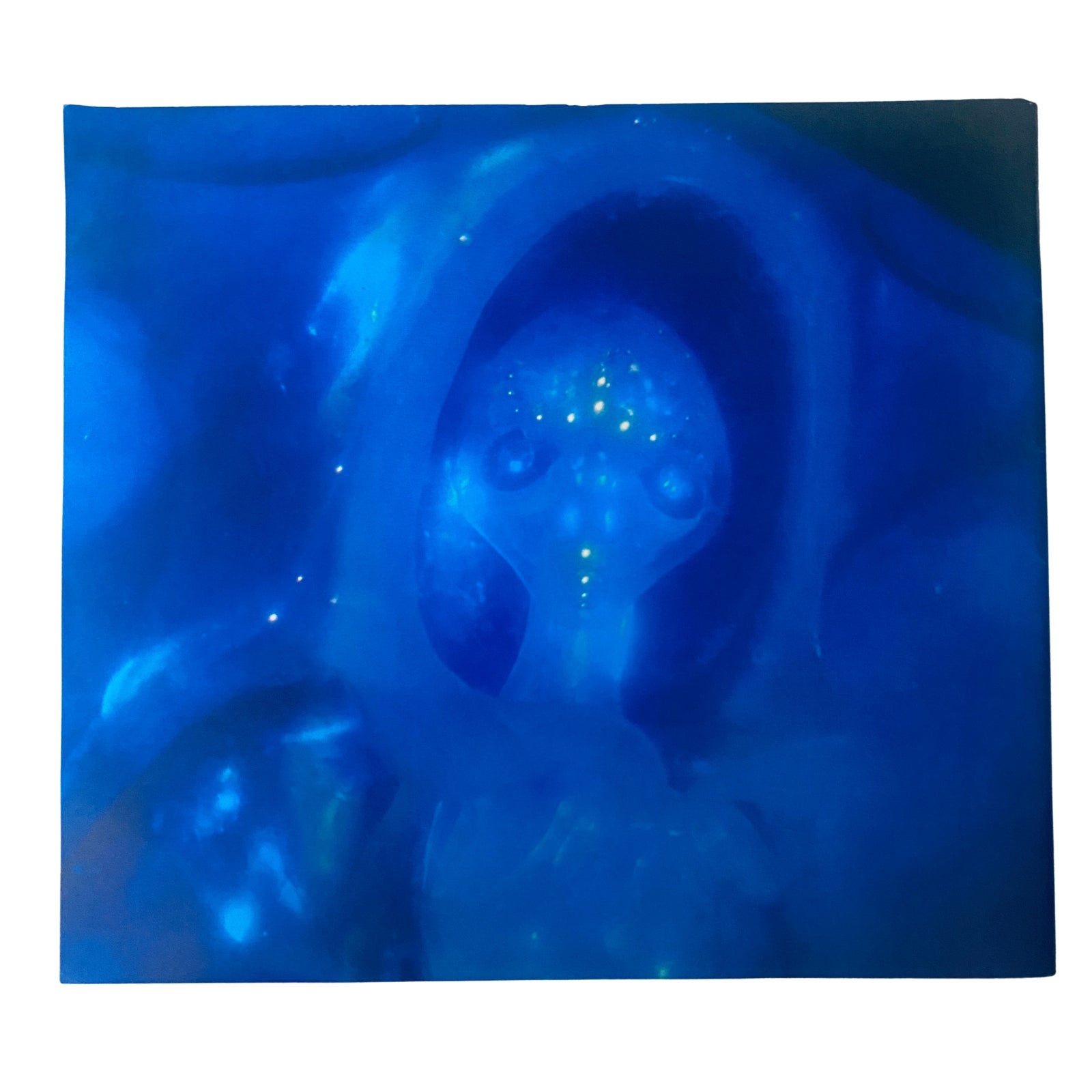 Back cover of Cinefex Magazine August 1989 No. 39 displaying an enigmatic image of a non-terrestrial being, as featured in the film The Abyss.
