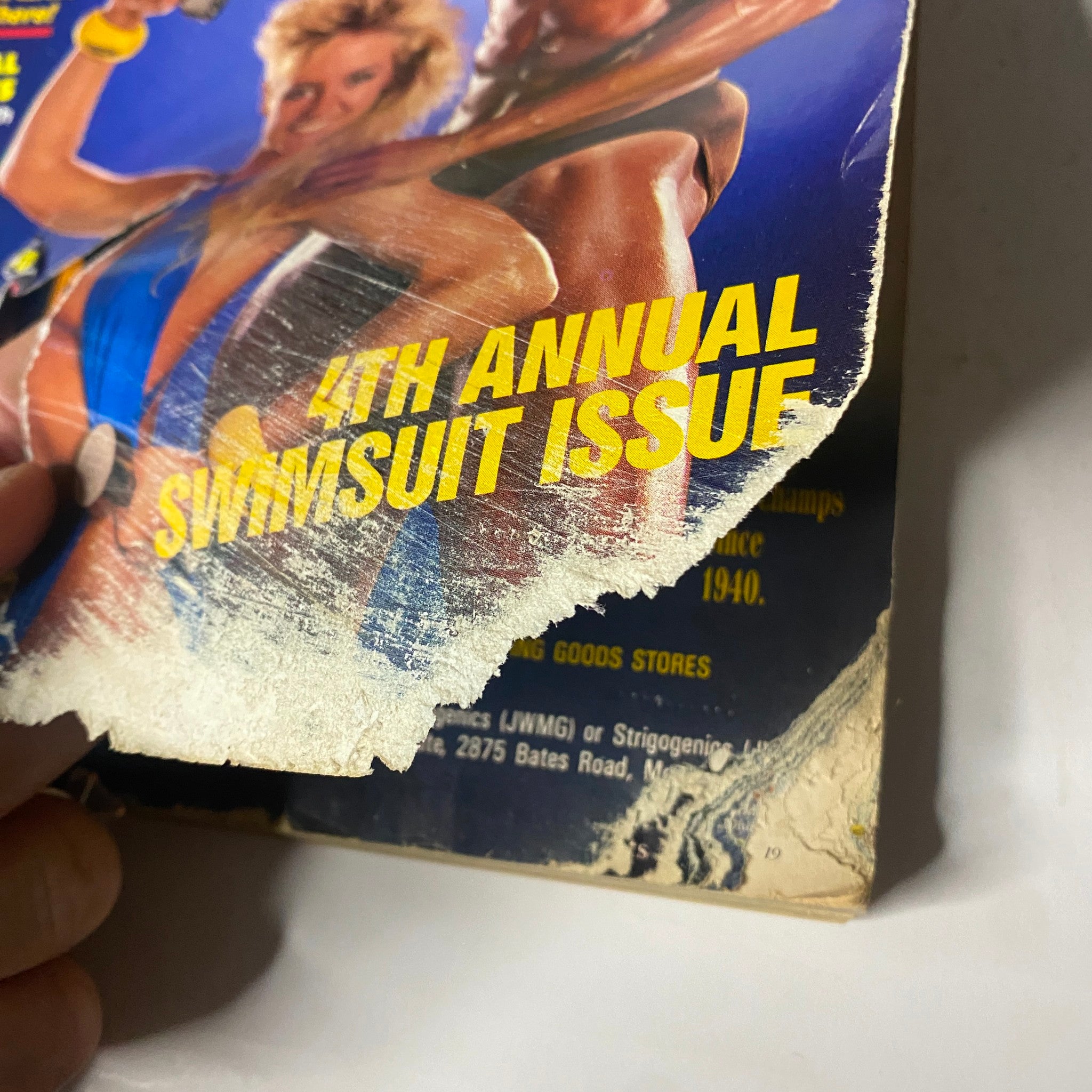 Close-up of the torn cover of the Muscle & Fitness Magazine February 1989 featuring the 4th Annual Swimsuit Issue.