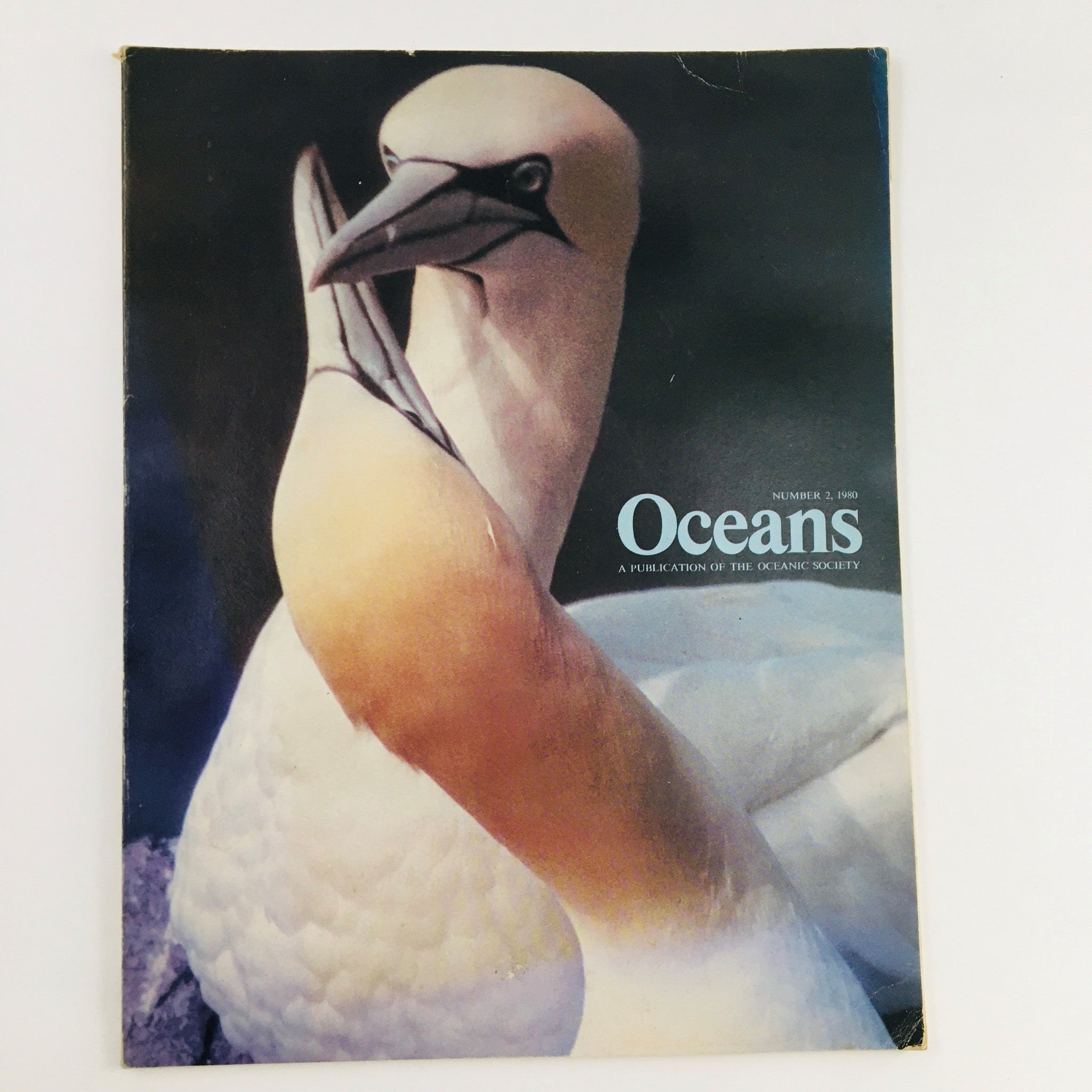 Oceans Magazine March 1980 Vol 13 No. 2 Two Atlantic Gannets No Label