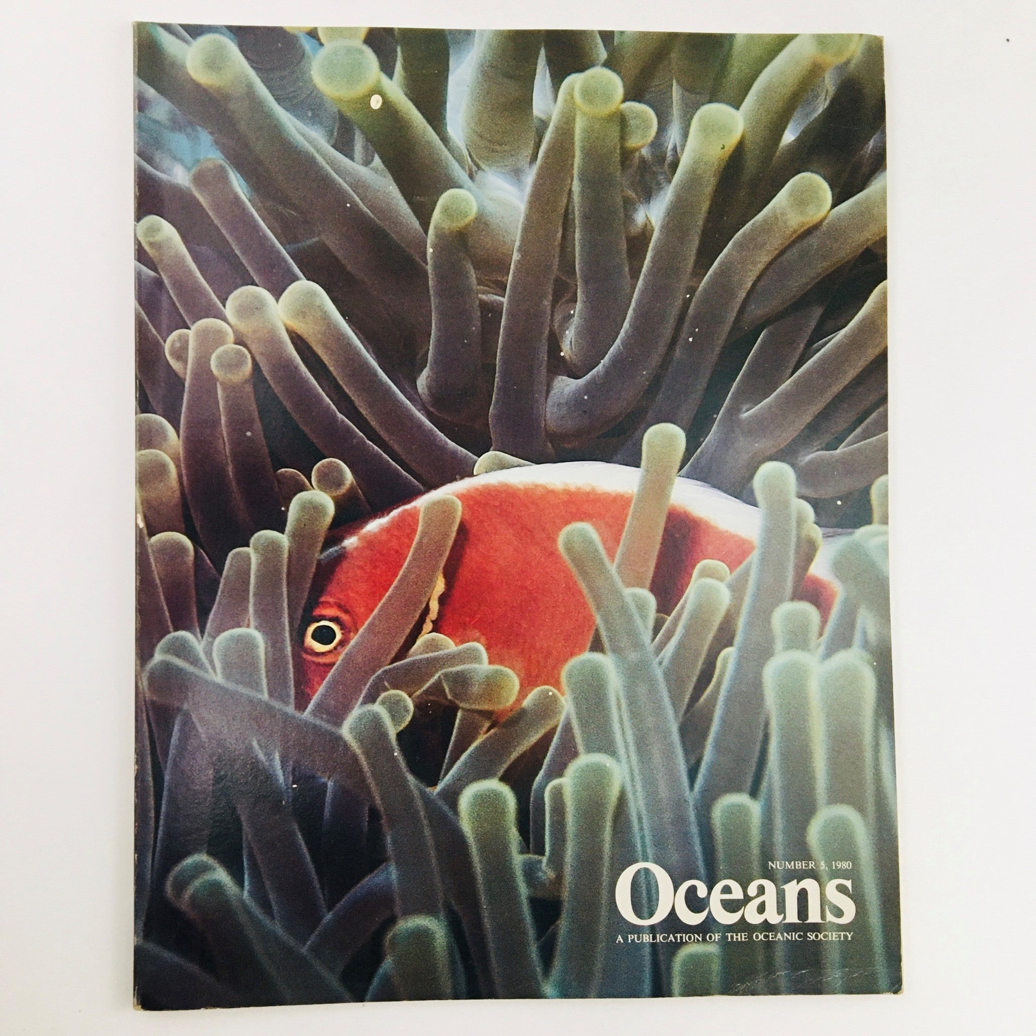 Oceans Magazine September 1980 Vol. 13 No. 5 A Clownfish Takes Refuge in Anemone