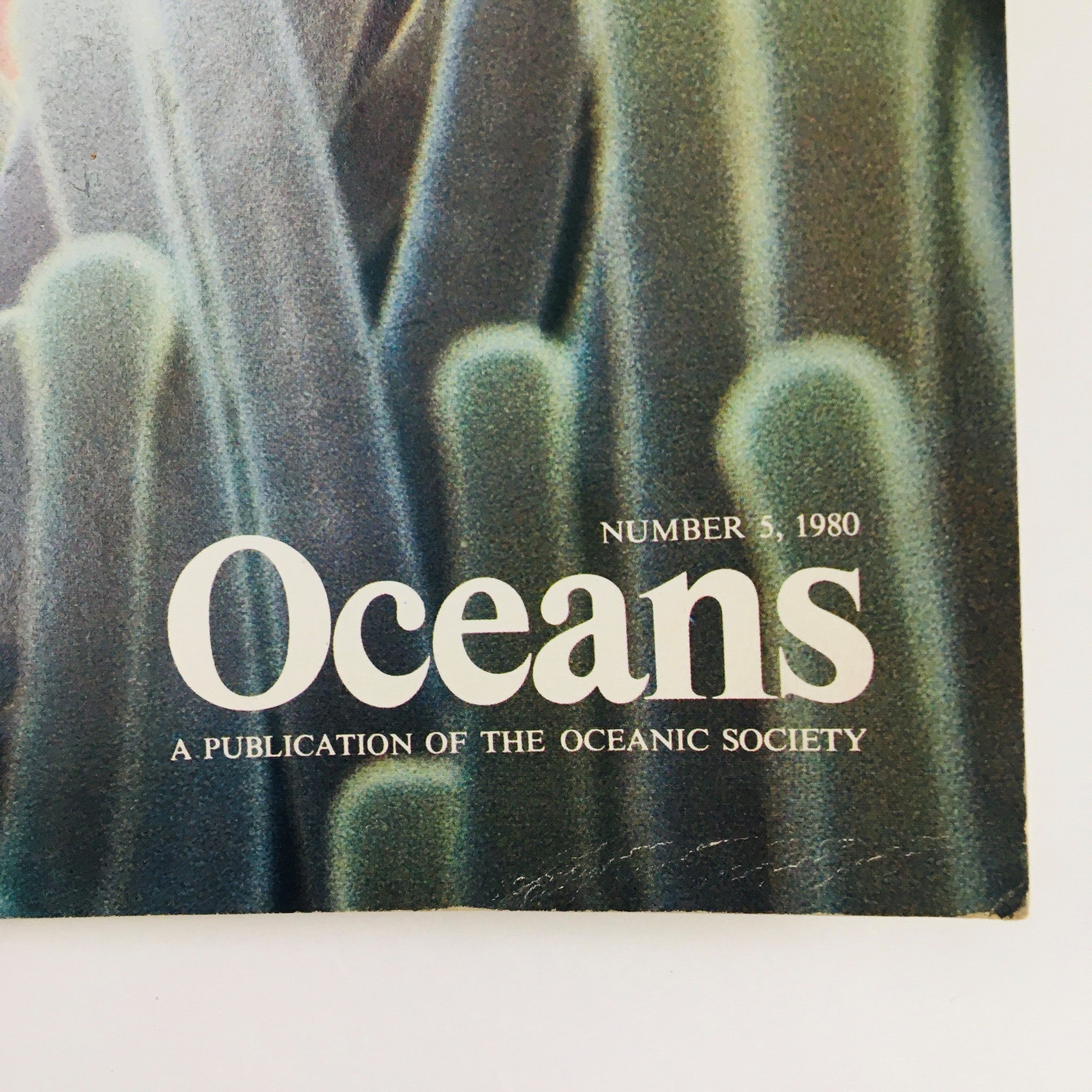 Oceans Magazine September 1980 Vol. 13 No. 5 A Clownfish Takes Refuge in Anemone