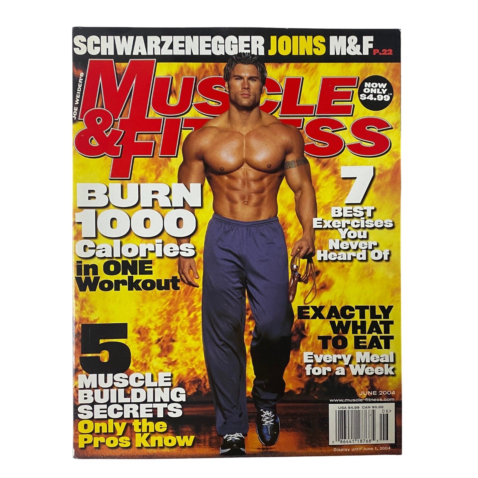 Muscle & Fitness Magazine June 2004 Vol 65 No. 6 featuring a muscular male cover model showcasing fitness and bodybuilding with a focus on fat burning and strength training.