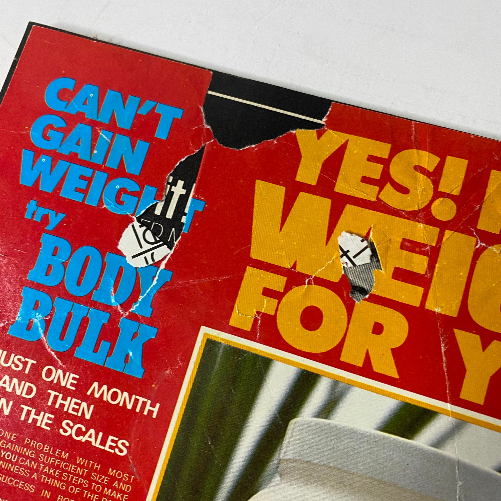 Close-up of the back cover of MuscleMag International Magazine January 1981 No. 22, advertising Body Bulk with promotional text.