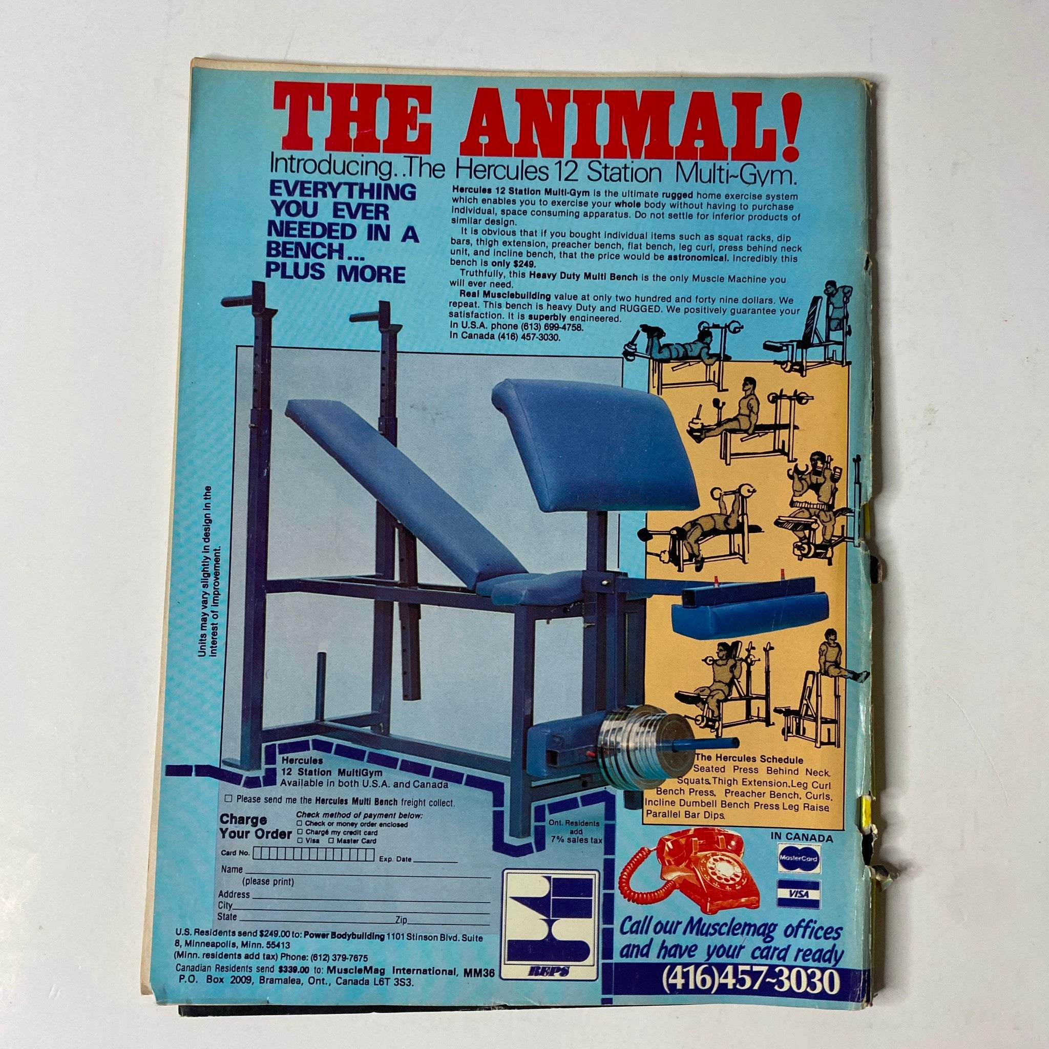 Advertisement for The Animal! Hercules 12 Station Multi-Gym featured in MuscleMag International Magazine June 1983, showcasing a versatile fitness bench setup with multiple training options.