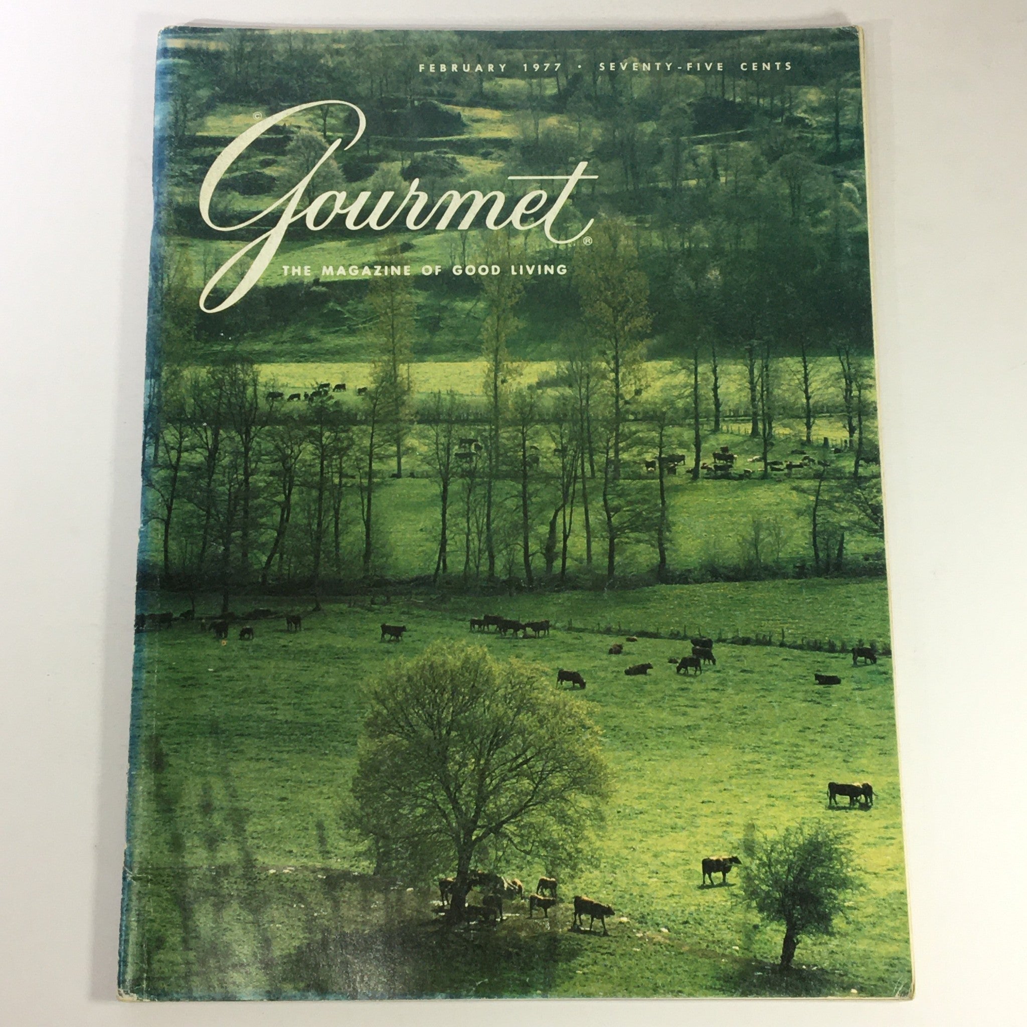 VTG Gourmet The Magazine of Good Living February 1977 - Tropical American Soups