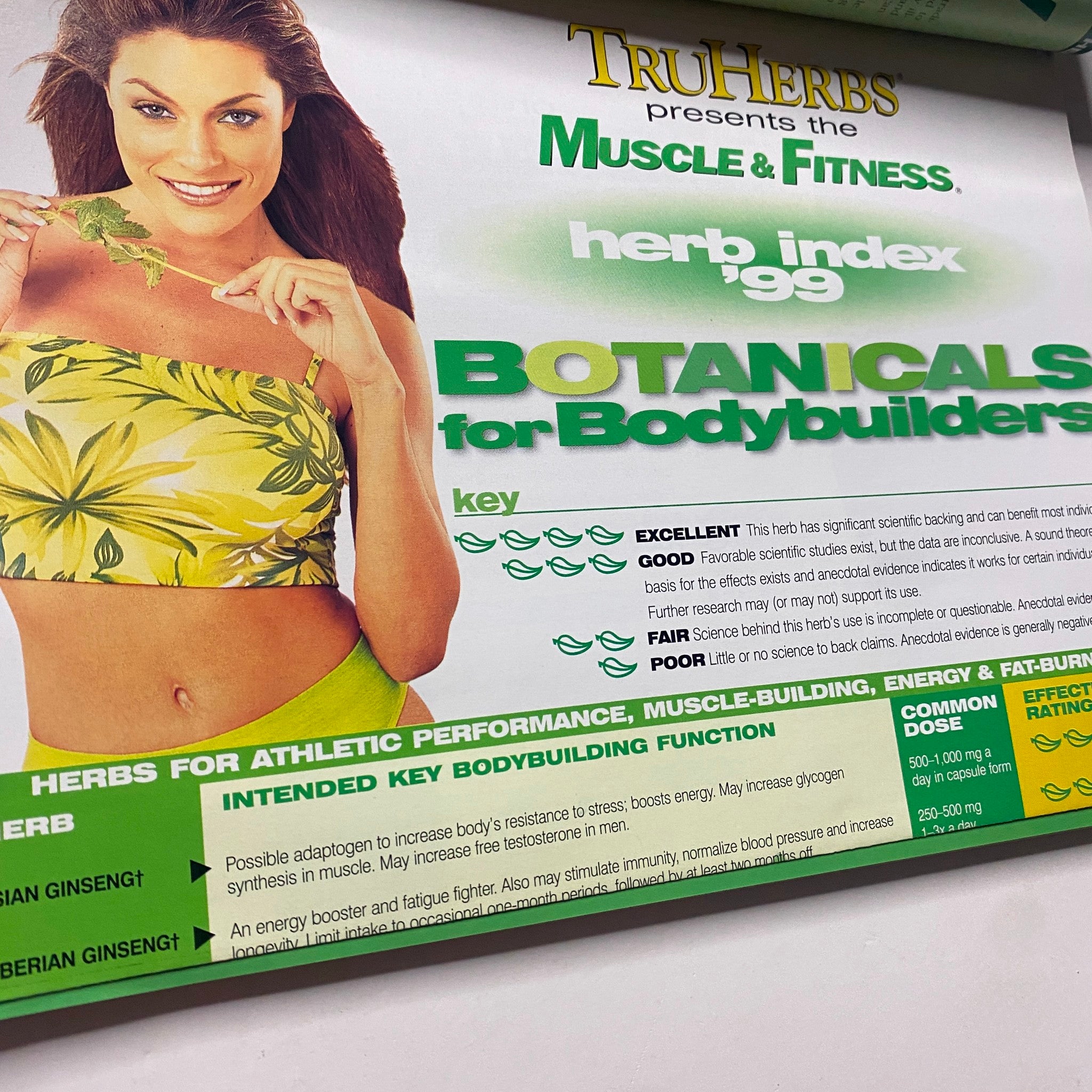 Herb index page from Muscle & Fitness Magazine November 1999 titled 'Botanicals for Bodybuilders', presenting a detailed key for herbal benefits in fitness.