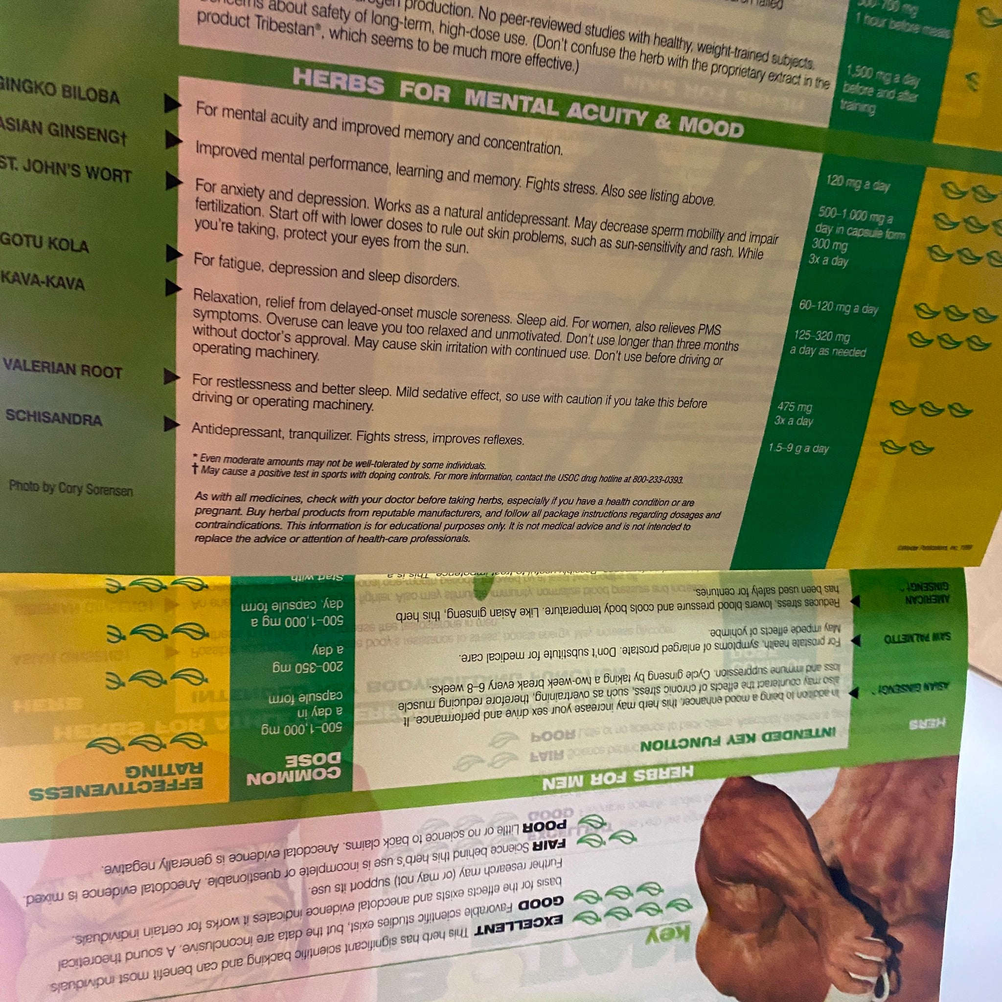 Herbs for mental acuity and mood page from Muscle & Fitness Magazine November 1999, detailing herbal recommendations for mental performance and well-being.