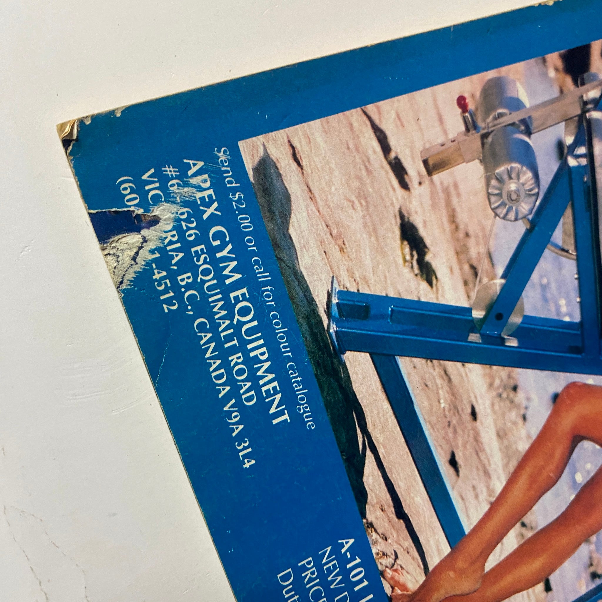 Close-up of the Apex Gym Equipment advertisement showing details of the leg extension machine on a beach setting, emphasizing promotions.