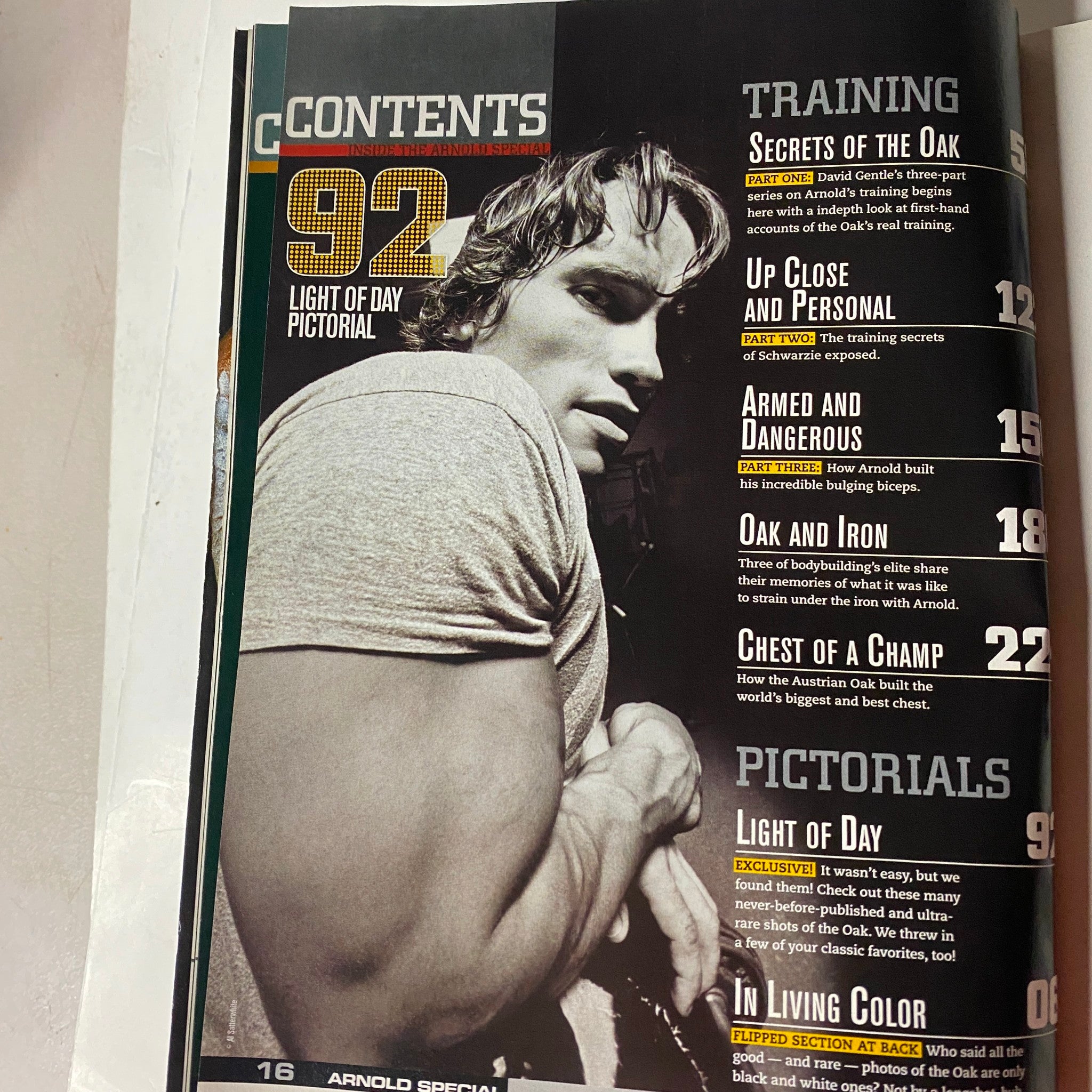 MuscleMag International Magazine Spring 2010 cover featuring Arnold Schwarzenegger, showcasing his iconic physique and training tips.