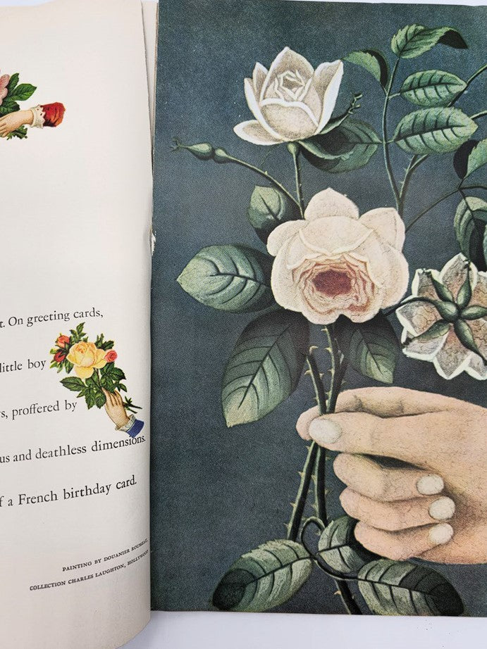 Vintage illustration of roses featured in VTG Flair Magazine May 1950, The Flower of Flowers by Katherine Anne Porter.