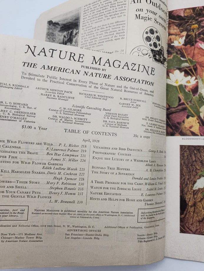 VTG Nature Magazine April 1928 Vol 11 #4 Vitamines & Bird Dietetics