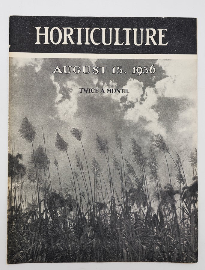 VTG Horticulture Magazine August 15 1936 The Long Season Echium