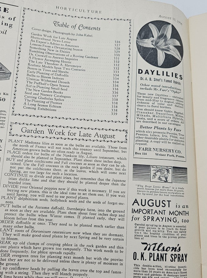 VTG Horticulture Magazine August 15 1936 The Long Season Echium