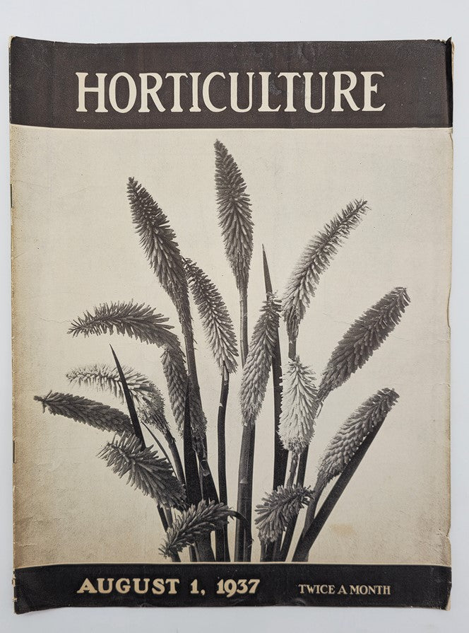 VTG Horticulture Magazine August 1 1937 Miniature Tritomas