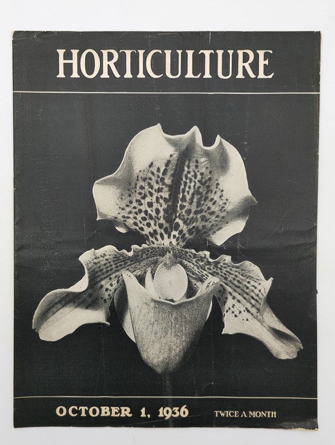 VTG Horticulture Magazine October 1 1936 Cypripedium Chrysostom