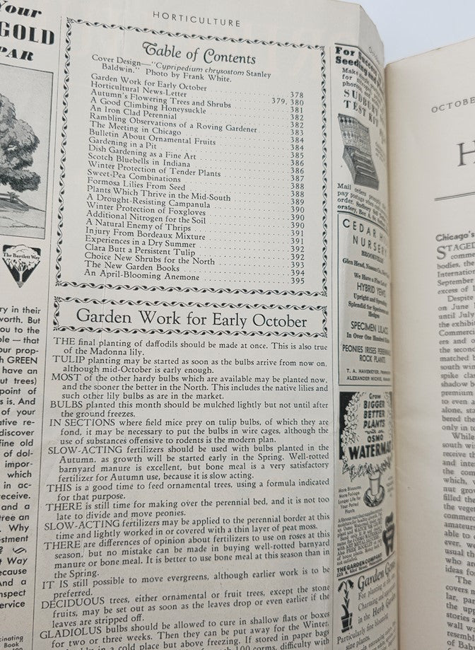 VTG Horticulture Magazine October 1 1936 Cypripedium Chrysostom