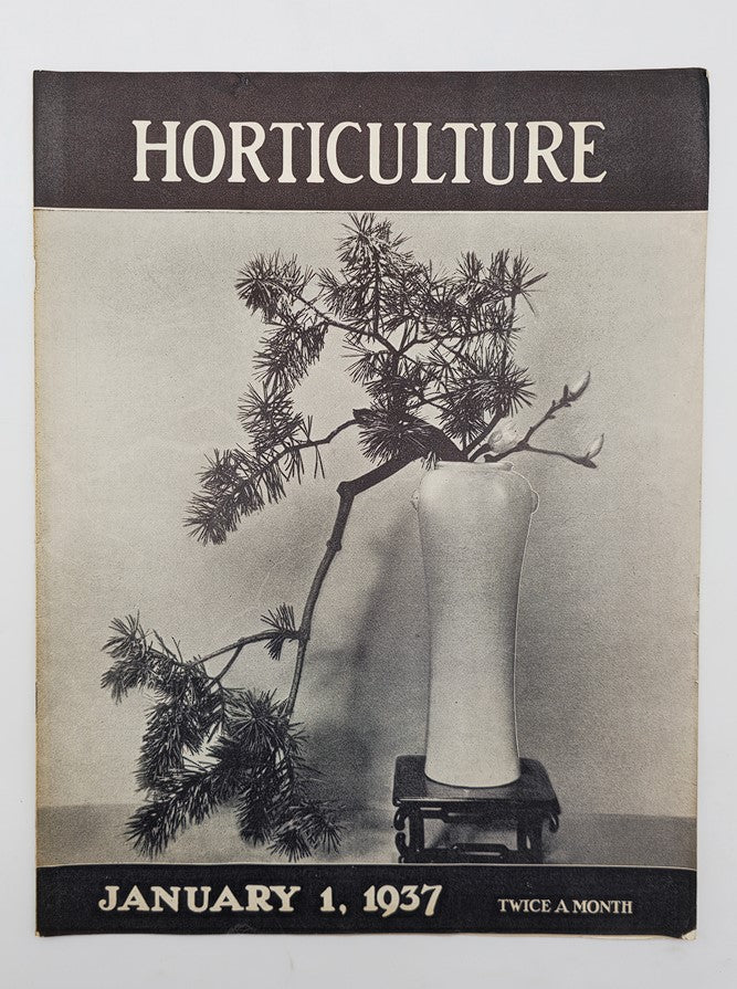 VTG Horticulture Magazine January 1 1937 The Showy Mustard Plants