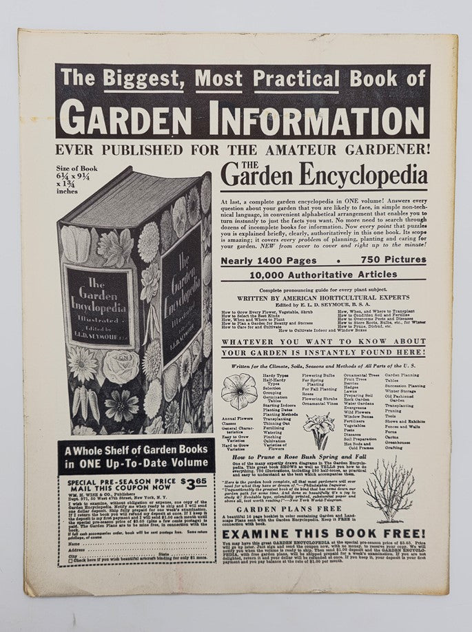 VTG Horticulture Magazine January 1 1937 The Showy Mustard Plants