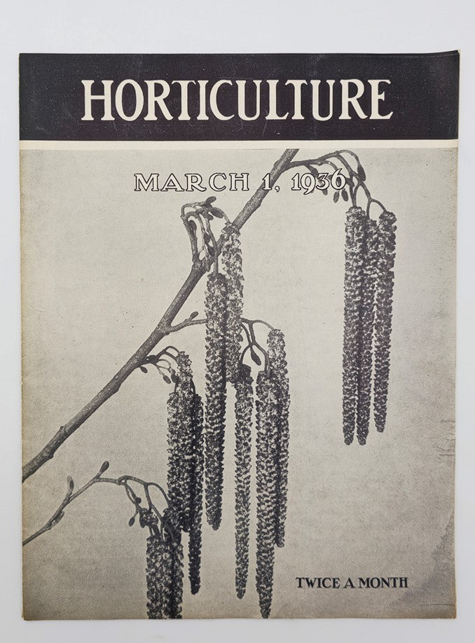 VTG Horticulture Magazine March 1 1936 Alder Catkins Cover