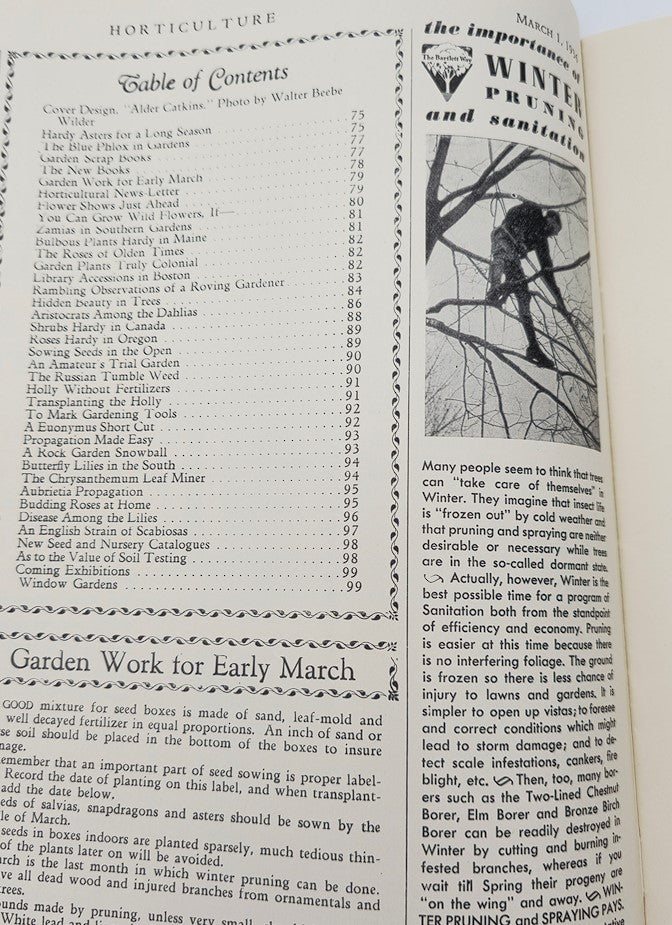 VTG Horticulture Magazine March 1 1936 Alder Catkins Cover