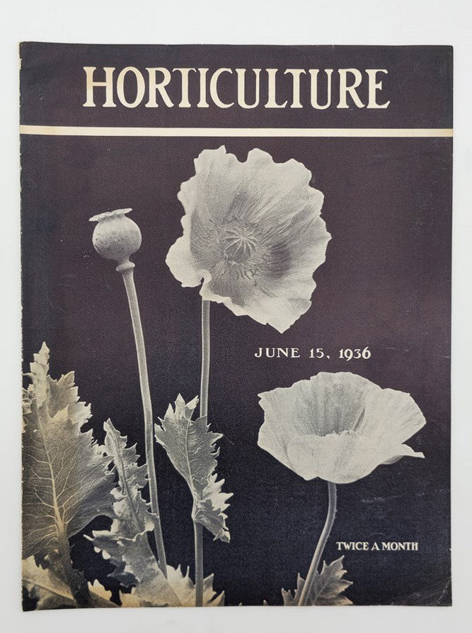 VTG Horticulture Magazine June 15 1936 Oriental Poppies