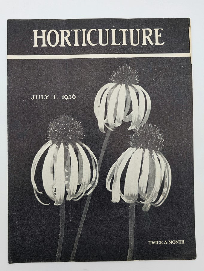 VTG Horticulture Magazine July 1 1936 Echinacea Angustifolia