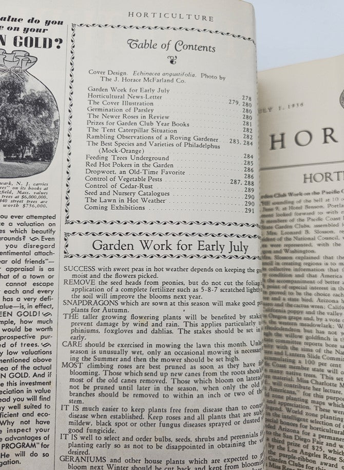 VTG Horticulture Magazine July 1 1936 Echinacea Angustifolia