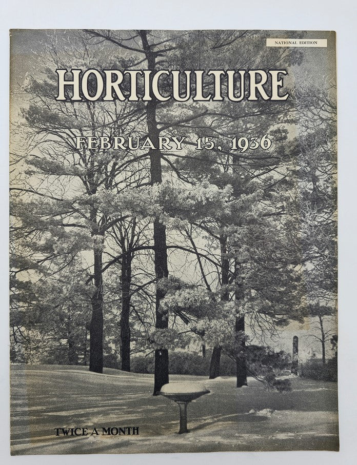 VTG Horticulture Magazine February 15 1936 The Garden in Winter