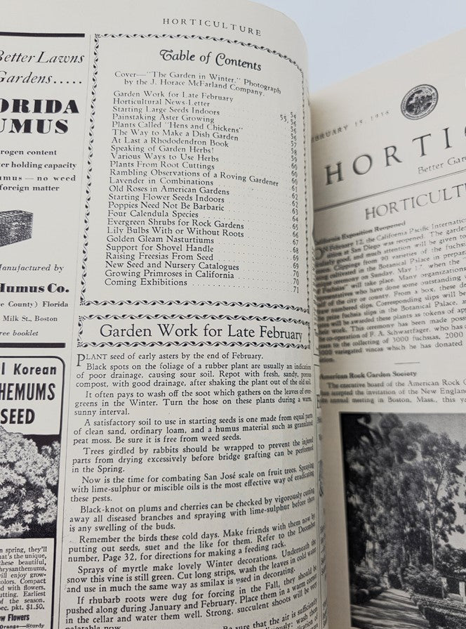 VTG Horticulture Magazine February 15 1936 The Garden in Winter