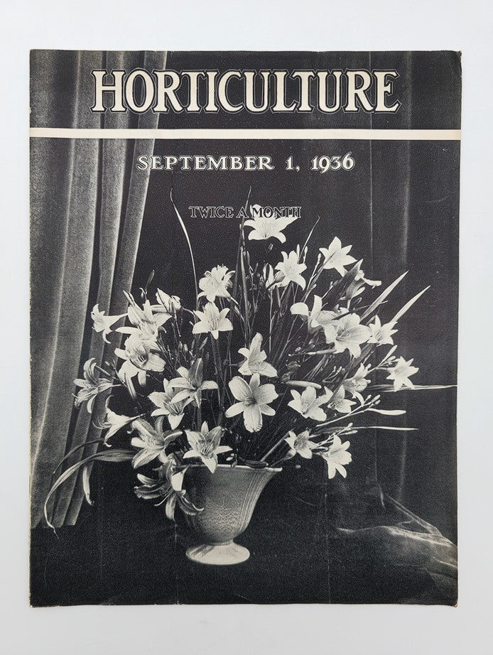 VTG Horticulture Magazine September 1 1936 An Arrangement of Daylilies