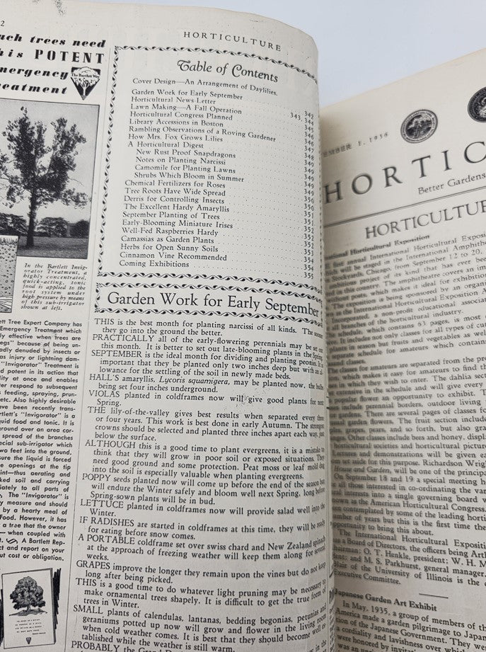 VTG Horticulture Magazine September 1 1936 An Arrangement of Daylilies