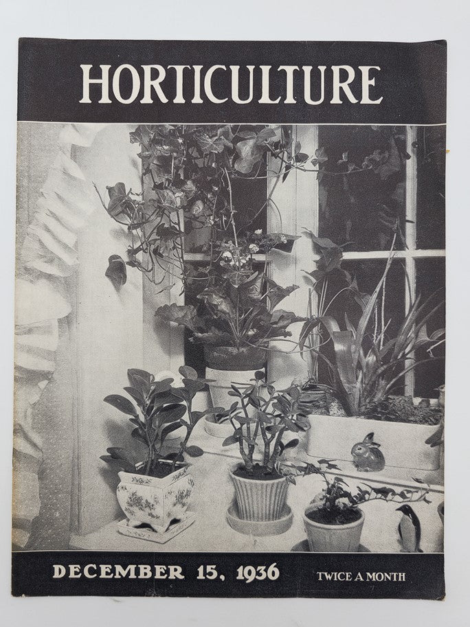 VTG Horticulture Magazine December 15 1936 Silver-Like Desert Holly