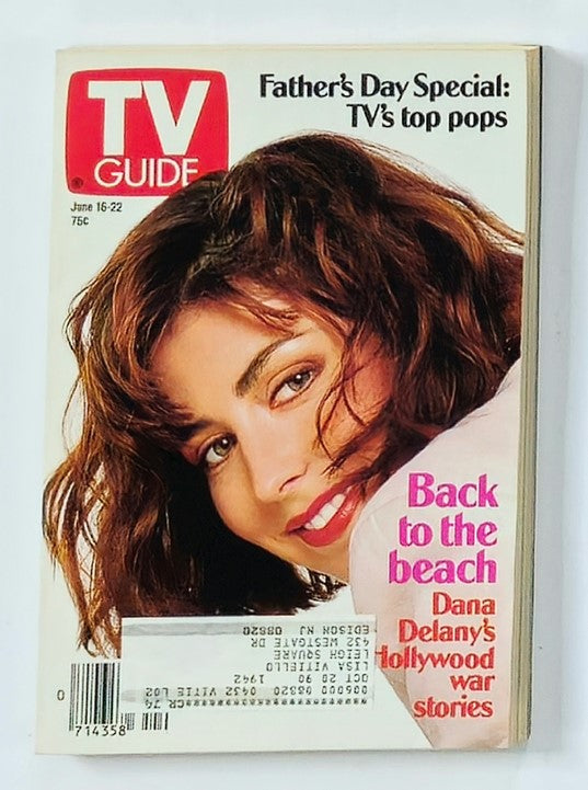 TV Guide Magazine cover dated June 16, 1990, featuring Dana Delany from ABC's China Beach. The cover includes the headline 'Back to the Beach' and highlights Dana Delany's Hollywood war stories, showcasing vintage pop culture from the early 90s.