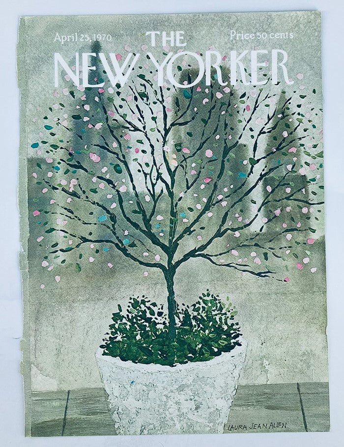 COVER ONLY The New Yorker April 25 1970 Empty Plant by Laura Jean Allen No Label