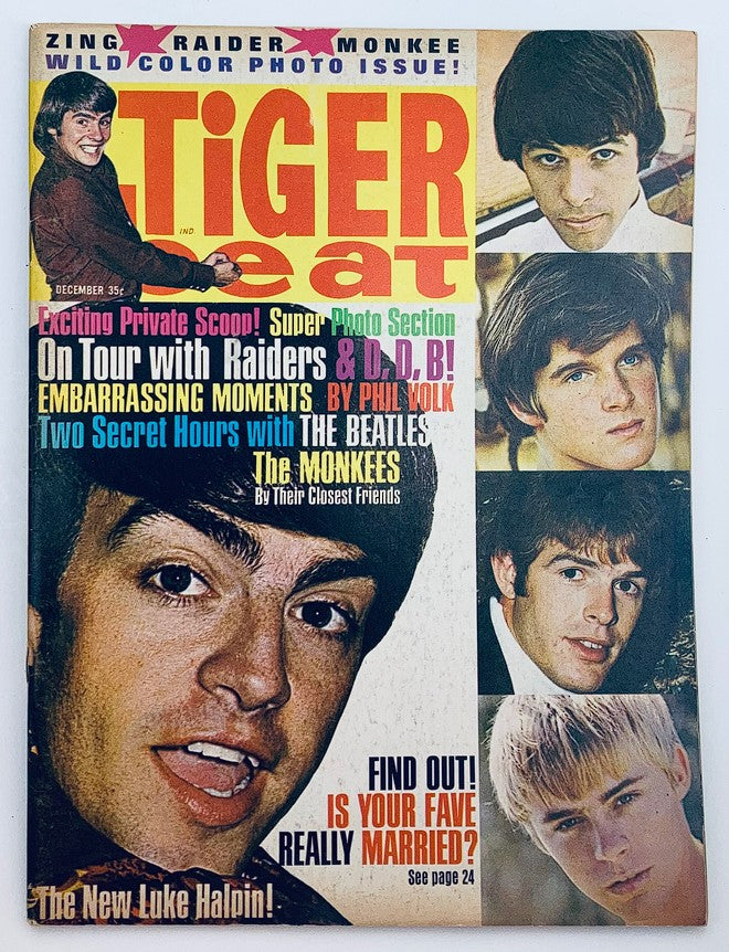 VTG Tiger Beat Magazine December 1966 Luke Halpin, The Beatles No Label