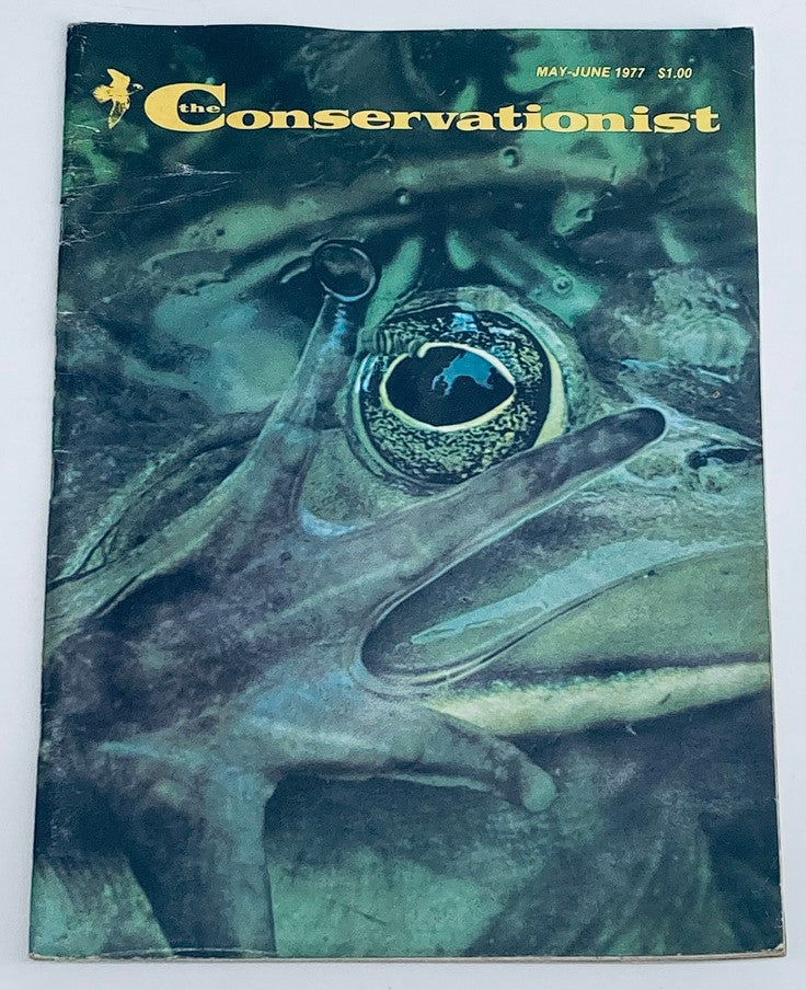 VTG The Conservationist Magazine May 1977 Tidal Flats in the Hudson