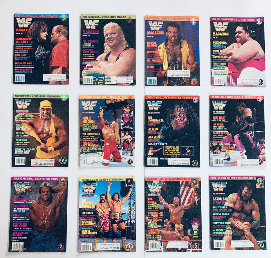 Lot of 12 Complete Month January - December 1993 WWF Wrestling Magazine