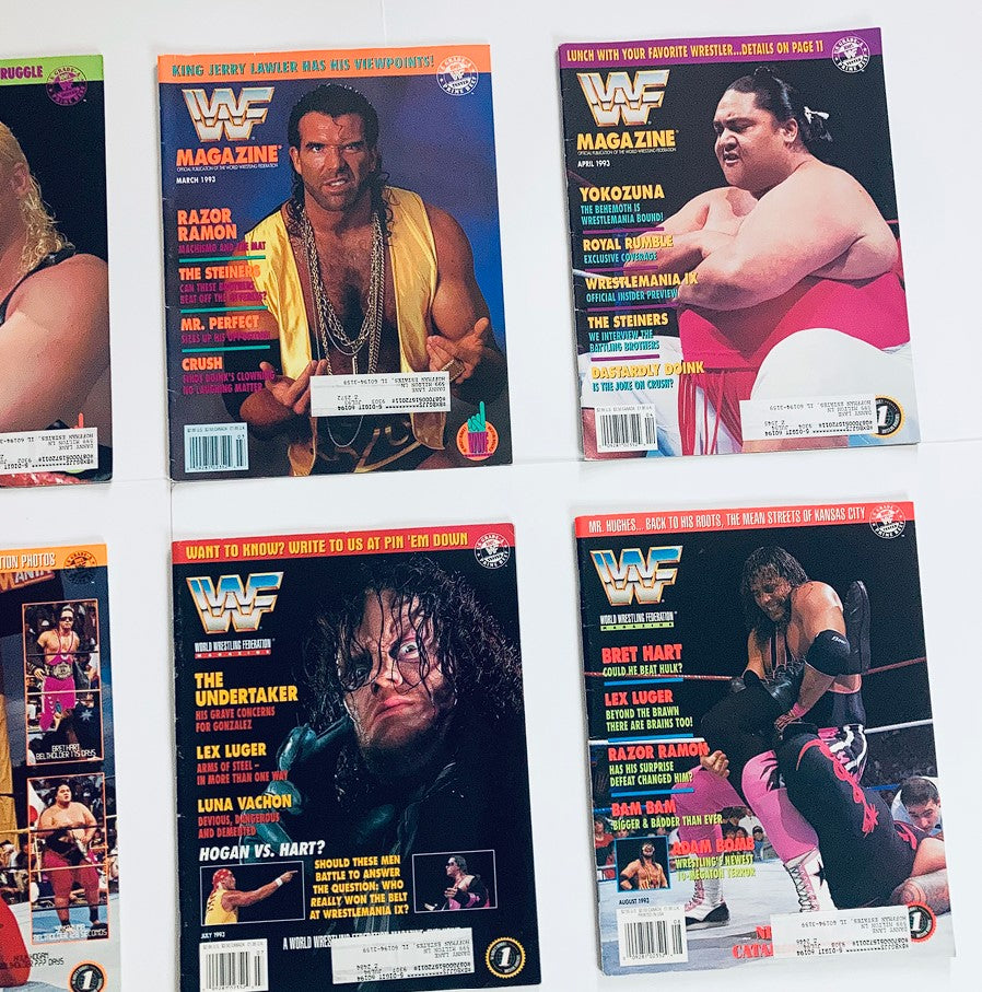 Lot of 12 Complete Month January - December 1993 WWF Wrestling Magazine