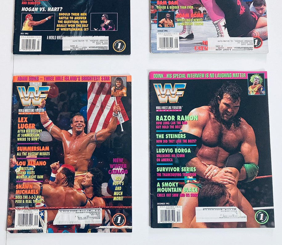 Lot of 12 Complete Month January - December 1993 WWF Wrestling Magazine