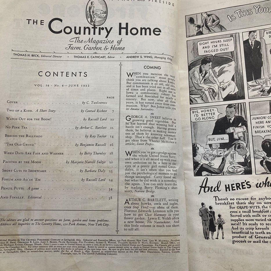 VTG The Country Home Magazine June 1932 When Days Are Fair and Warmer