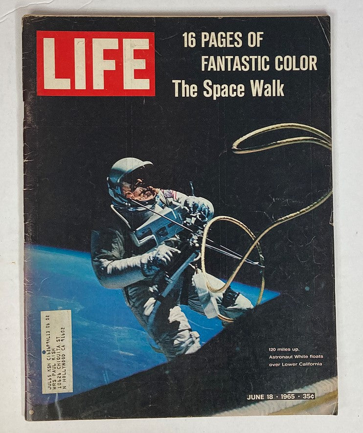 RES* VTG Life Magazine June 18 1965 120 Vigil of Genius Behind Gemini 4