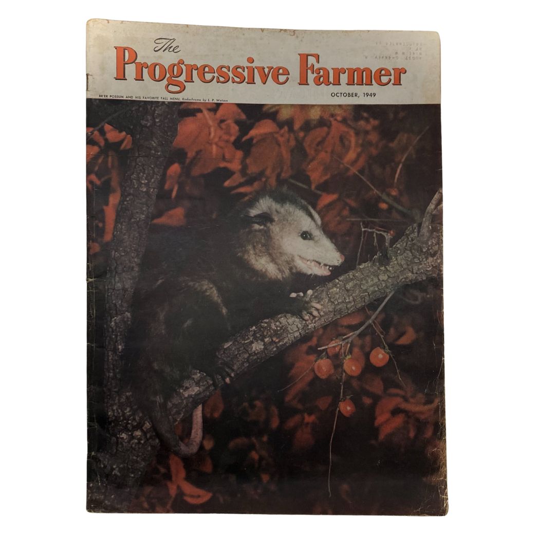 The Progressive Farmer Magazine October 1949 What I Saw of German Farming