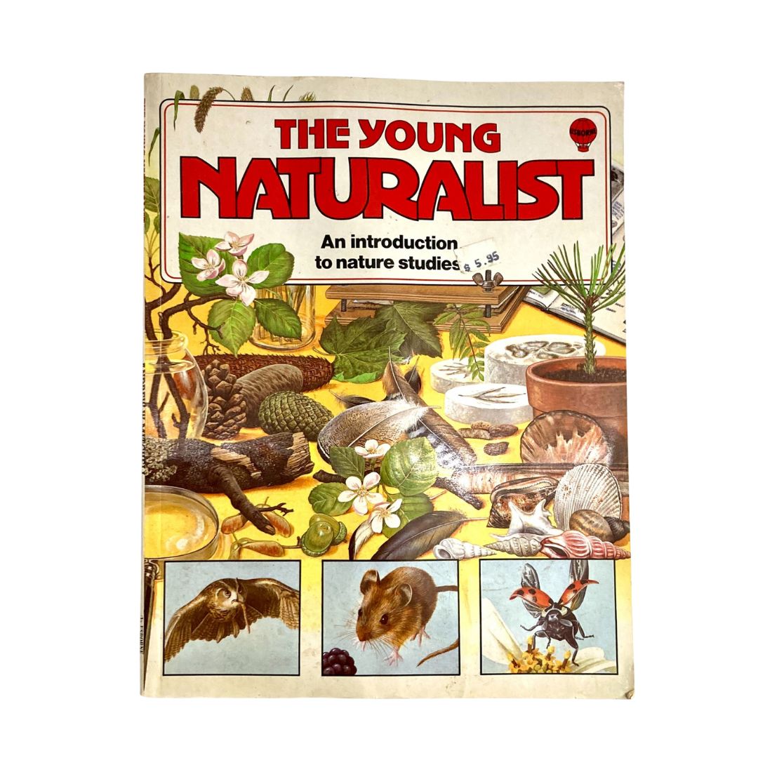 The Young Naturalist An Introduction To Nature Studies Usborne Hobby Guide